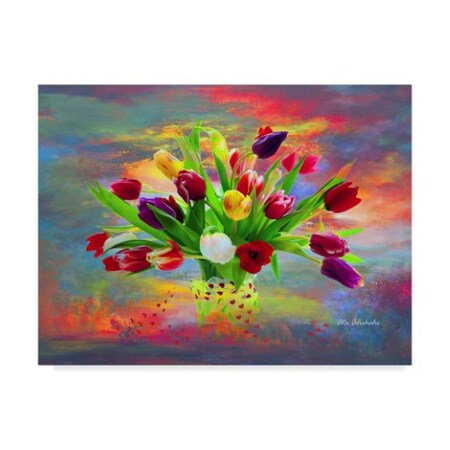 Ata Alishahi 'Colorful Flowers' Canvas Art,18x24
